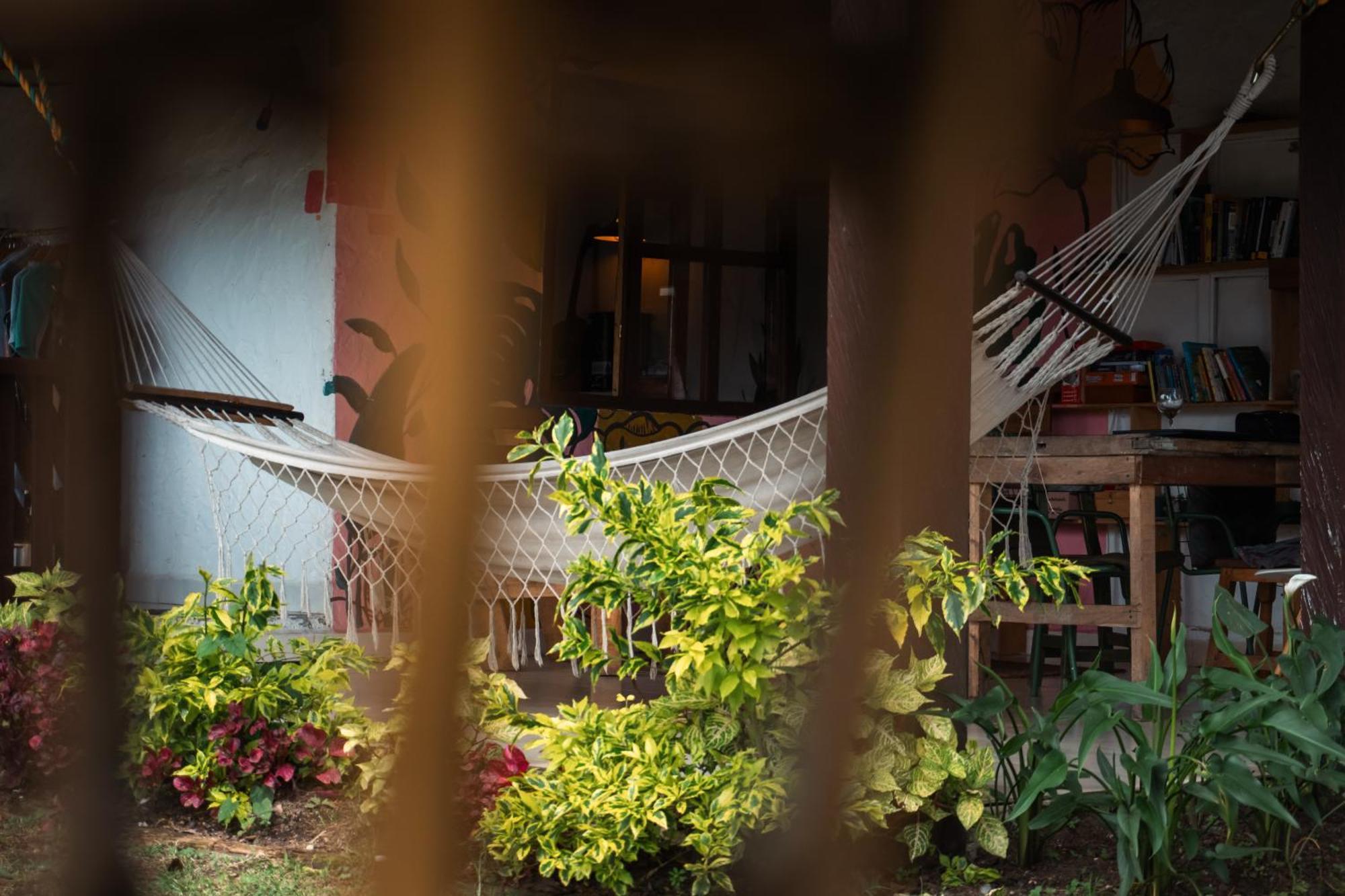 Hostal Casa Profunda - Santa Elena Medellín Exterior foto