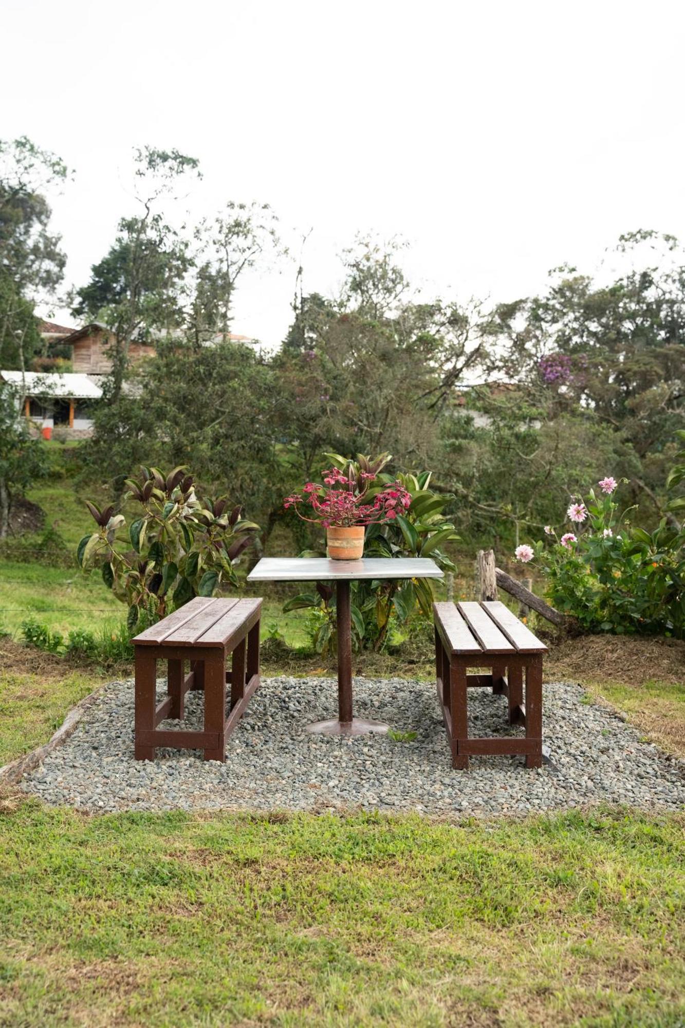 Hostal Casa Profunda - Santa Elena Medellín Exterior foto
